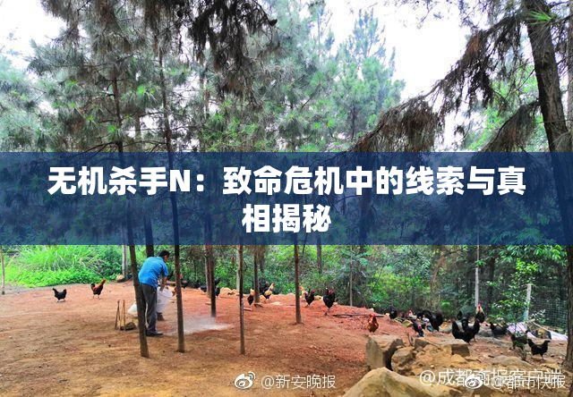 无机杀手N：致命危机中的线索与真相揭秘