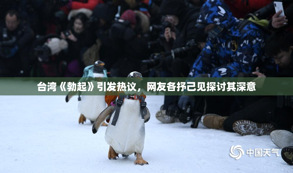 台湾《勃起》引发热议，网友各抒己见探讨其深意