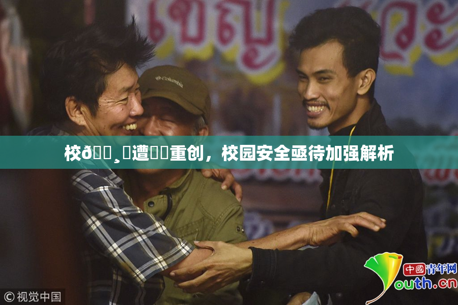 校🌸‌遭❌‌重创，校园安全亟待加强解析