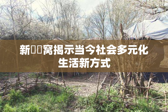 新妺妺窝揭示当今社会多元化生活新方式