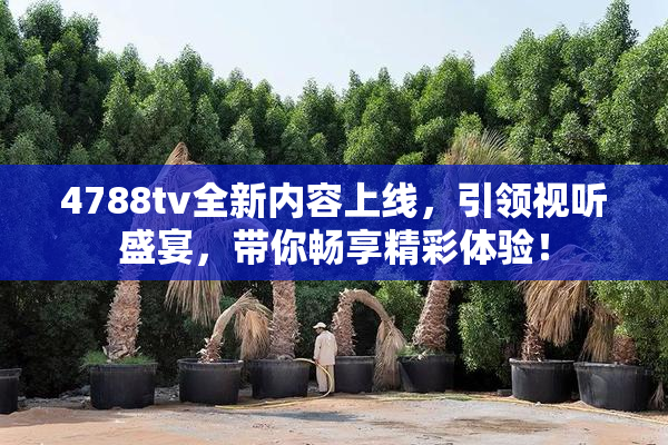 4788tv全新内容上线，引领视听盛宴，带你畅享精彩体验！