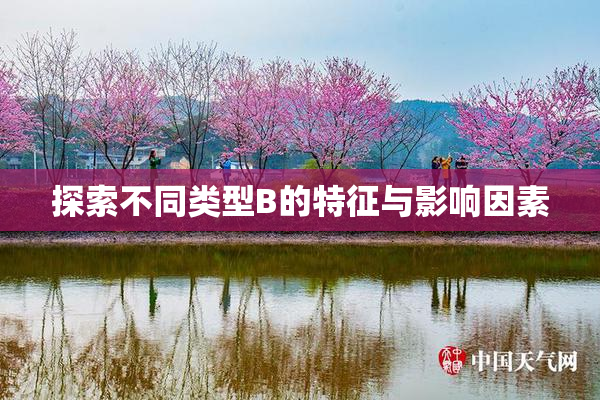 探索不同类型B的特征与影响因素