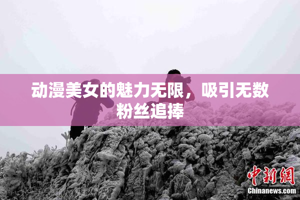 动漫美女的魅力无限，吸引无数粉丝追捧