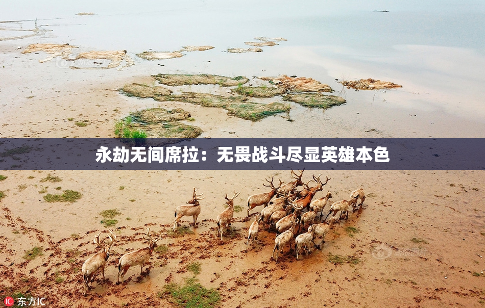 永劫无间席拉：无畏战斗尽显英雄本色