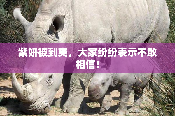 紫妍被到爽，大家纷纷表示不敢相信！