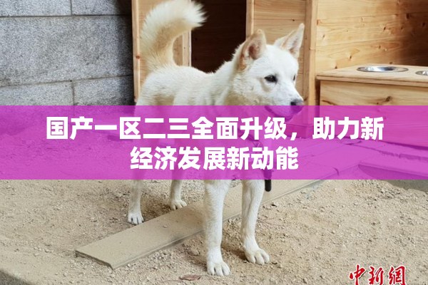 国产一区二三全面升级，助力新经济发展新动能
