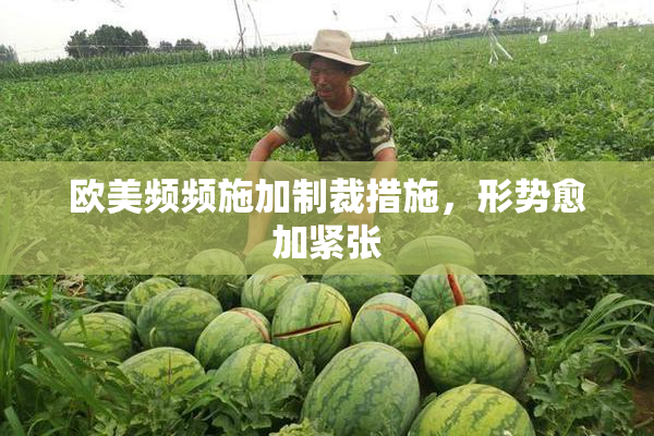 欧美频频施加制裁措施，形势愈加紧张