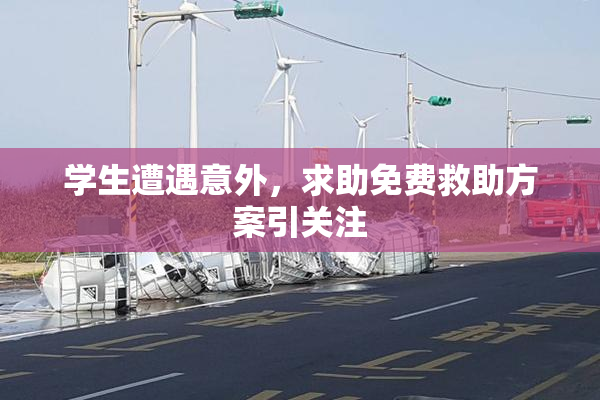 学生遭遇意外，求助免费救助方案引关注