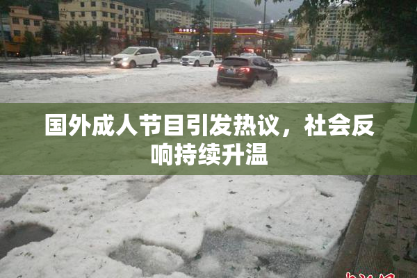 国外成人节目引发热议，社会反响持续升温