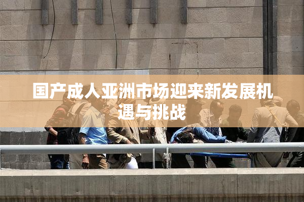 国产成人亚洲市场迎来新发展机遇与挑战