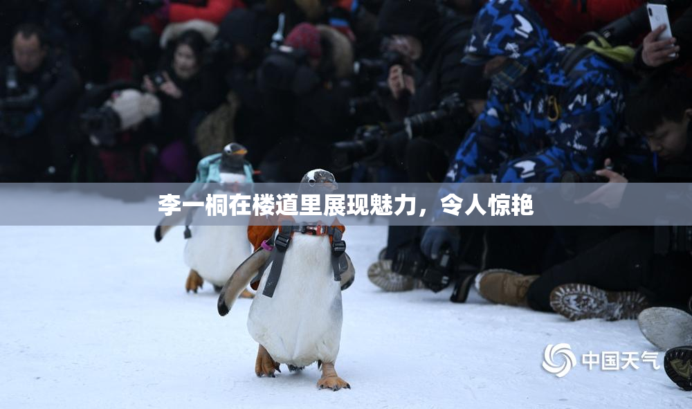 李一桐在楼道里展现魅力，令人惊艳