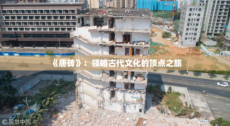 《唐砖》：领略古代文化的顶点之旅
