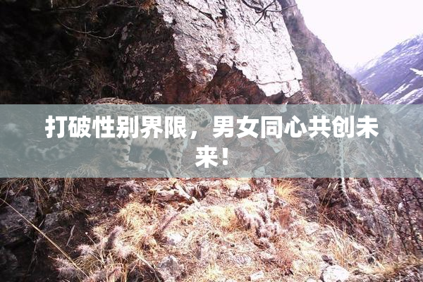 打破性别界限，男女同心共创未来！