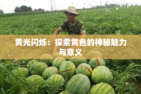 黄光闪烁：探索黄色的神秘魅力与意义