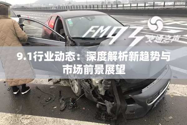 9.1行业动态：深度解析新趋势与市场前景展望