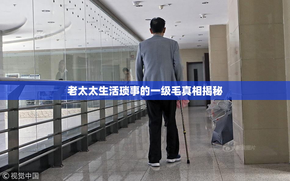 老太太生活琐事的一级毛真相揭秘