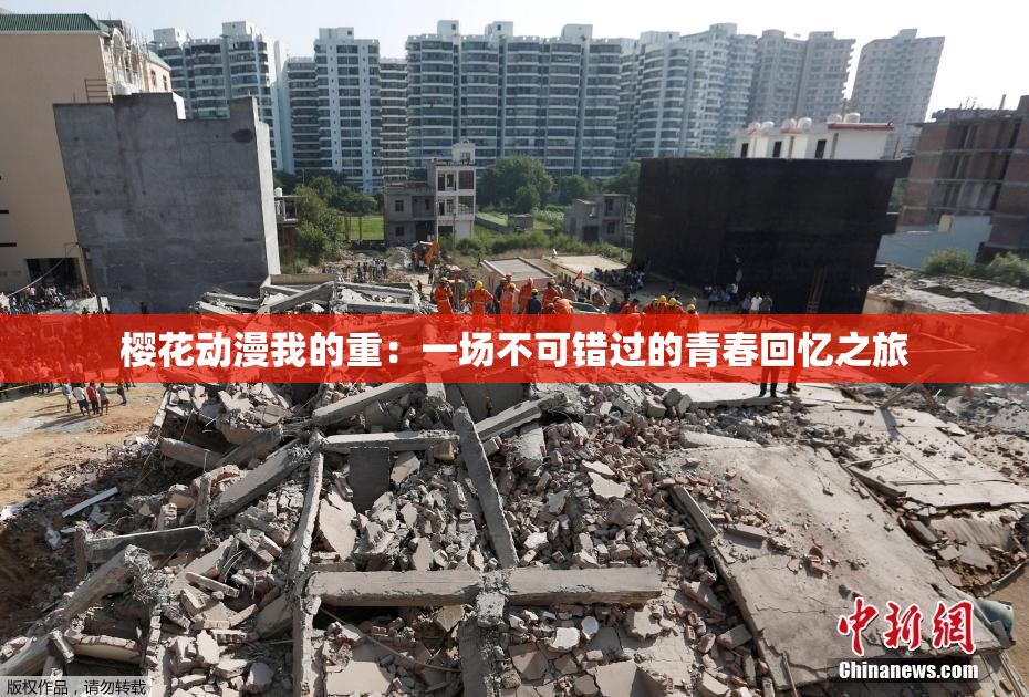 樱花动漫我的重：一场不可错过的青春回忆之旅