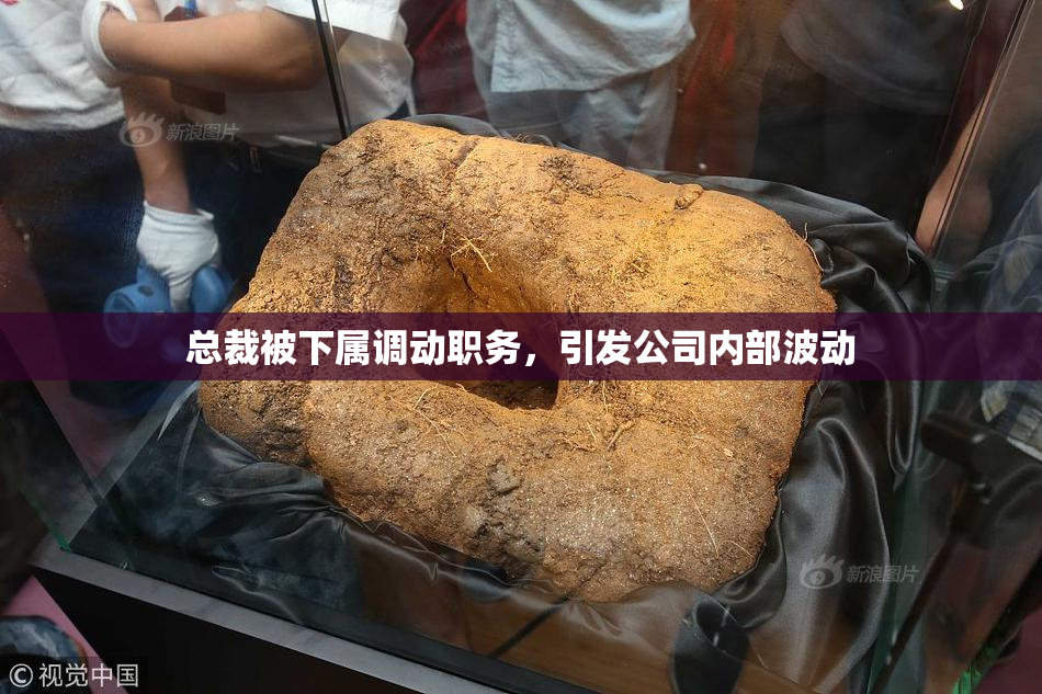 总裁被下属调动职务，引发公司内部波动
