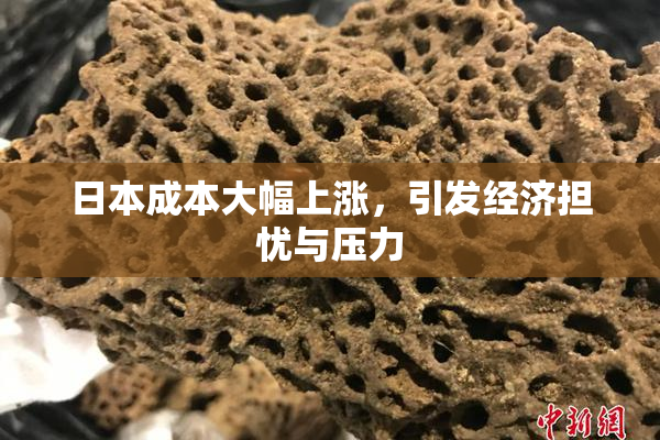 日本成本大幅上涨，引发经济担忧与压力