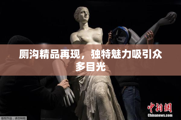 厕沟精品再现，独特魅力吸引众多目光