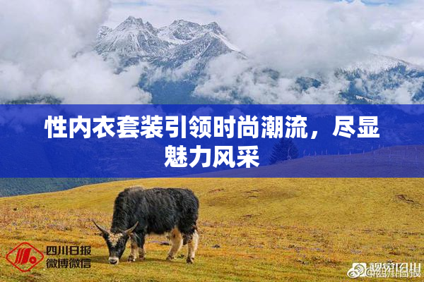 性内衣套装引领时尚潮流，尽显魅力风采