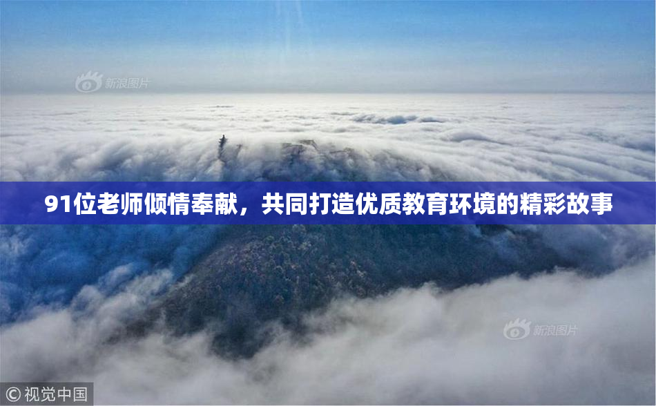 91位老师倾情奉献，共同打造优质教育环境的精彩故事