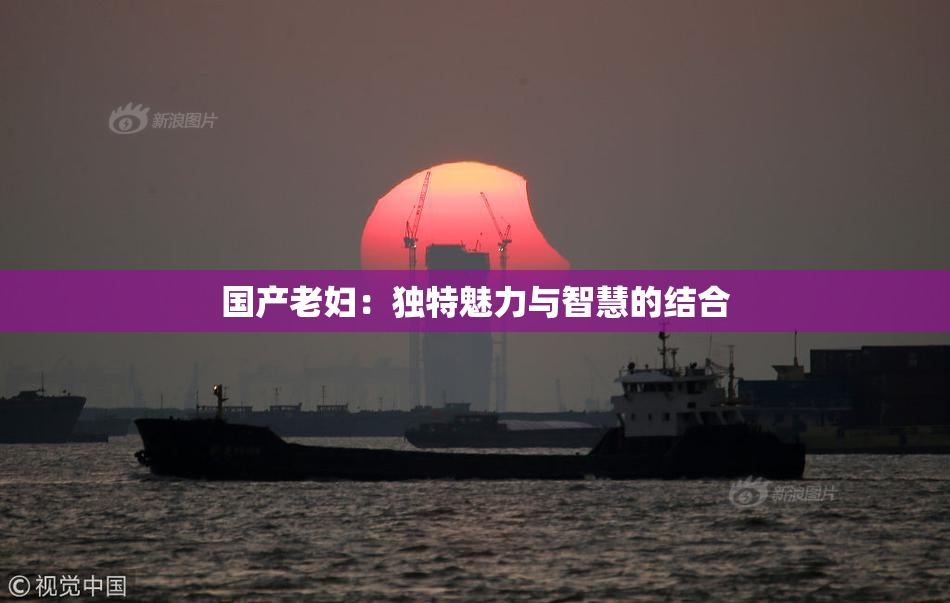 国产老妇：独特魅力与智慧的结合