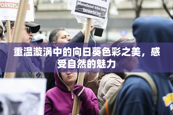 重温漩涡中的向日葵色彩之美，感受自然的魅力