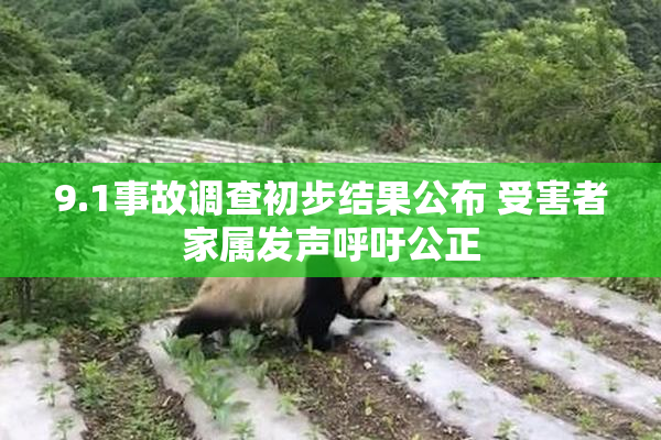 9.1事故调查初步结果公布 受害者家属发声呼吁公正