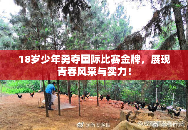 18岁少年勇夺国际比赛金牌，展现青春风采与实力！