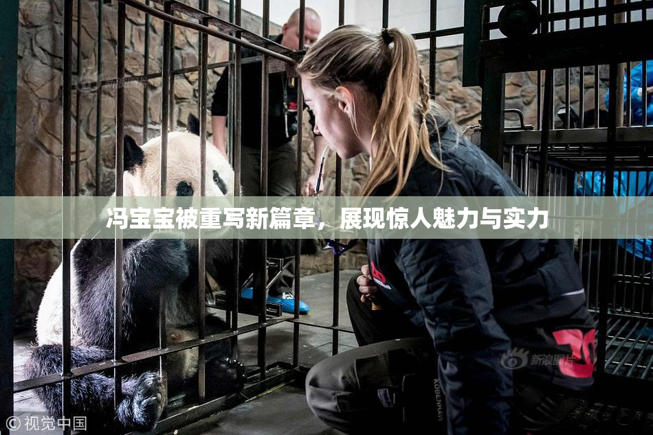 冯宝宝被重写新篇章，展现惊人魅力与实力