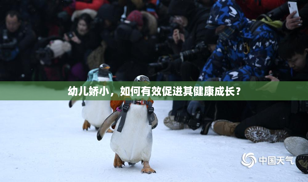 幼儿娇小，如何有效促进其健康成长？