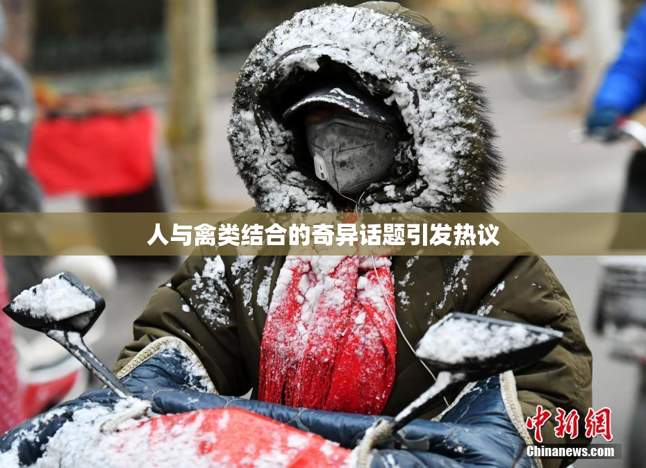 人与禽类结合的奇异话题引发热议