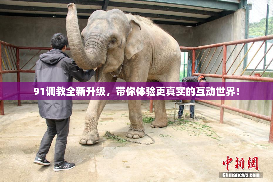 91调教全新升级，带你体验更真实的互动世界！