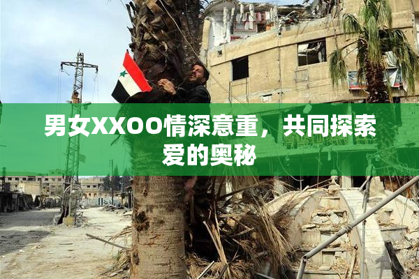 男女XXOO情深意重，共同探索爱的奥秘