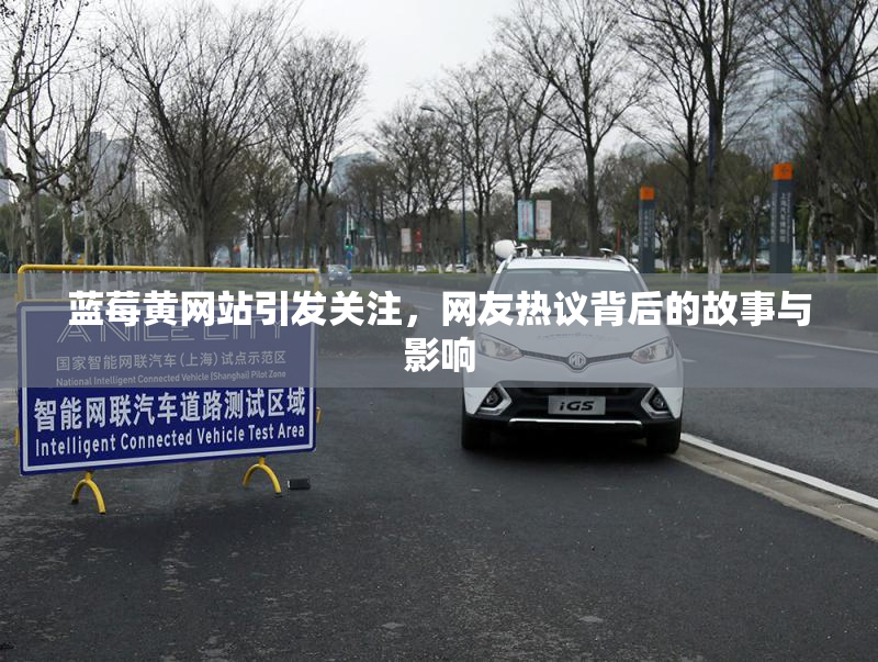 蓝莓黄网站引发关注，网友热议背后的故事与影响