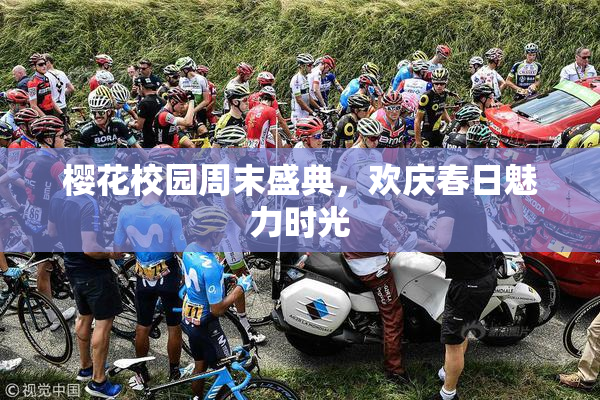 樱花校园周末盛典，欢庆春日魅力时光