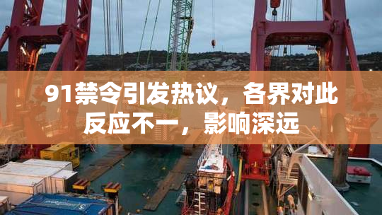 91禁令引发热议，各界对此反应不一，影响深远