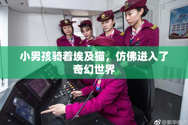 小男孩骑着埃及猫，仿佛进入了奇幻世界