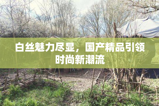白丝魅力尽显，国产精品引领时尚新潮流