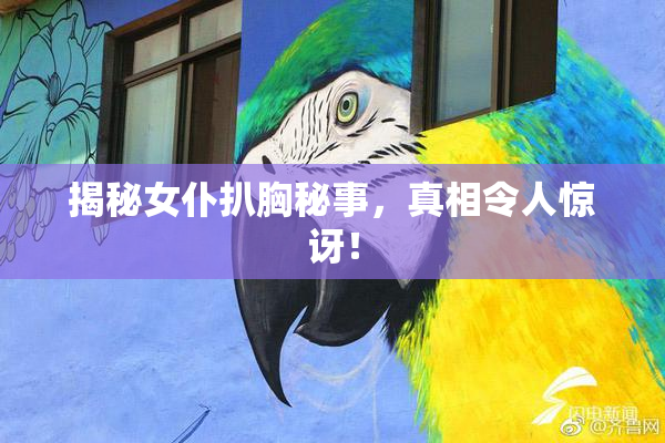 揭秘女仆扒胸秘事，真相令人惊讶！