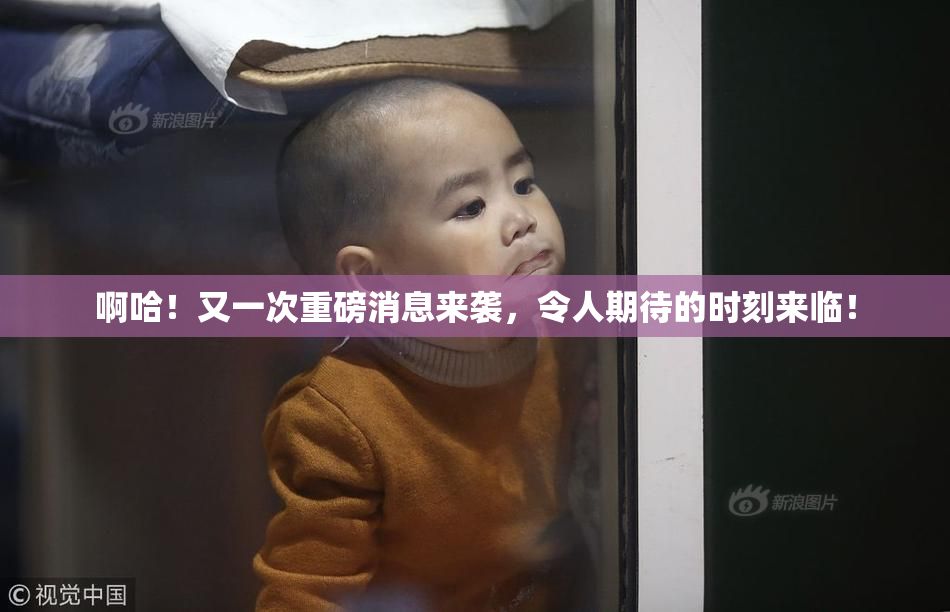 啊哈！又一次重磅消息来袭，令人期待的时刻来临！