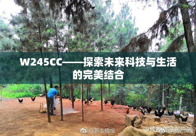 W245CC——探索未来科技与生活的完美结合