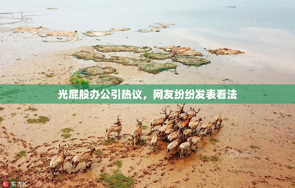 光屁股办公引热议，网友纷纷发表看法