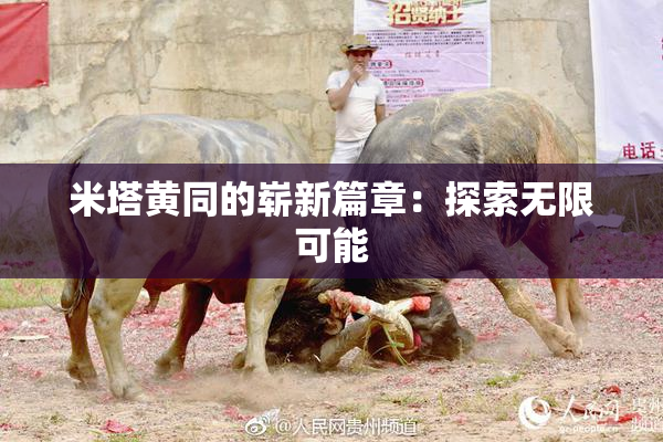 米塔黄同的崭新篇章：探索无限可能