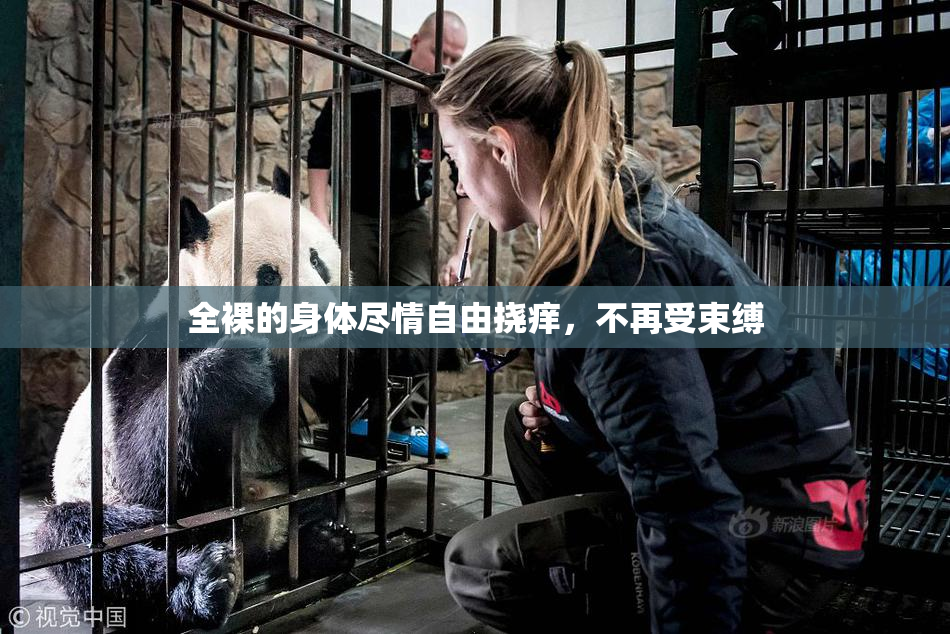 全裸的身体尽情自由挠痒，不再受束缚