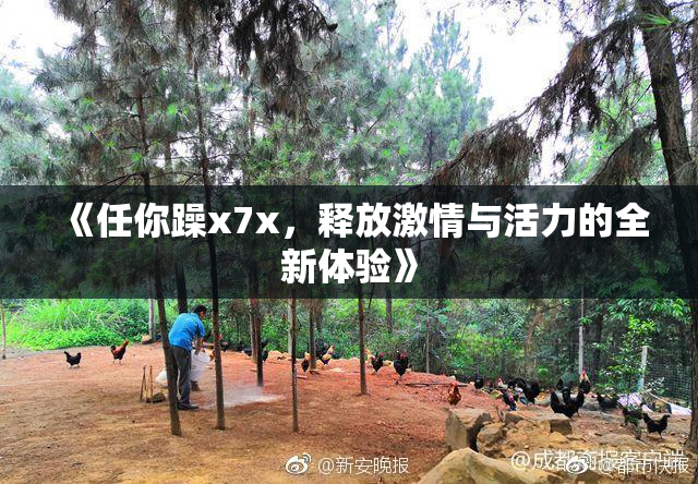 《任你躁x7x，释放激情与活力的全新体验》