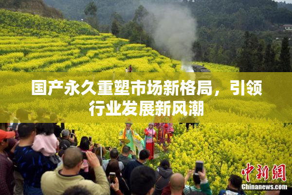 国产永久重塑市场新格局，引领行业发展新风潮