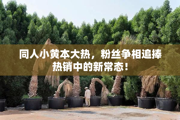 同人小黄本大热，粉丝争相追捧热销中的新常态！