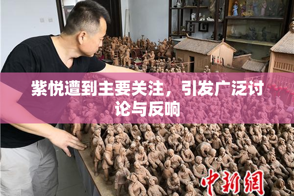 紫悦遭到主要关注，引发广泛讨论与反响